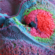 Load image into Gallery viewer, Mad Mattr - Quantum Pack - 10oz Blue