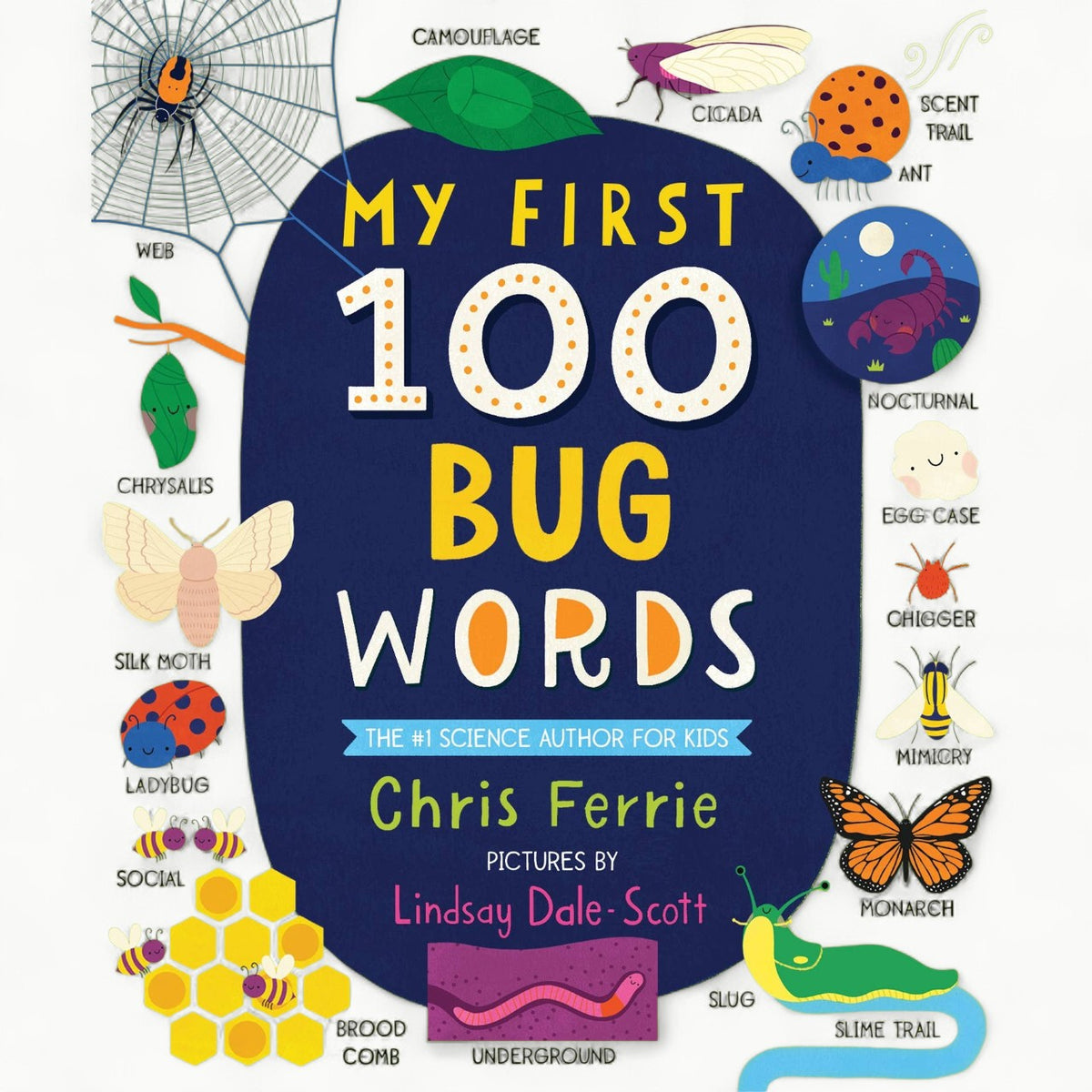 My First 100 Bug Words padded board book by Sourcebooks with colorful bug illustrations