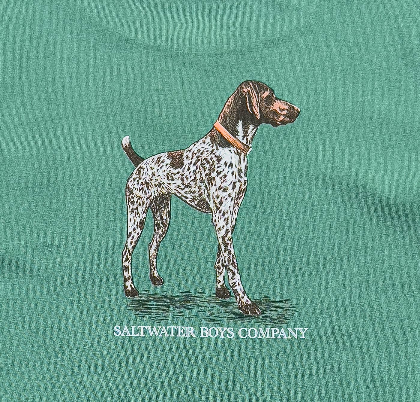 Boys Pointer Graphic Tee LS Green