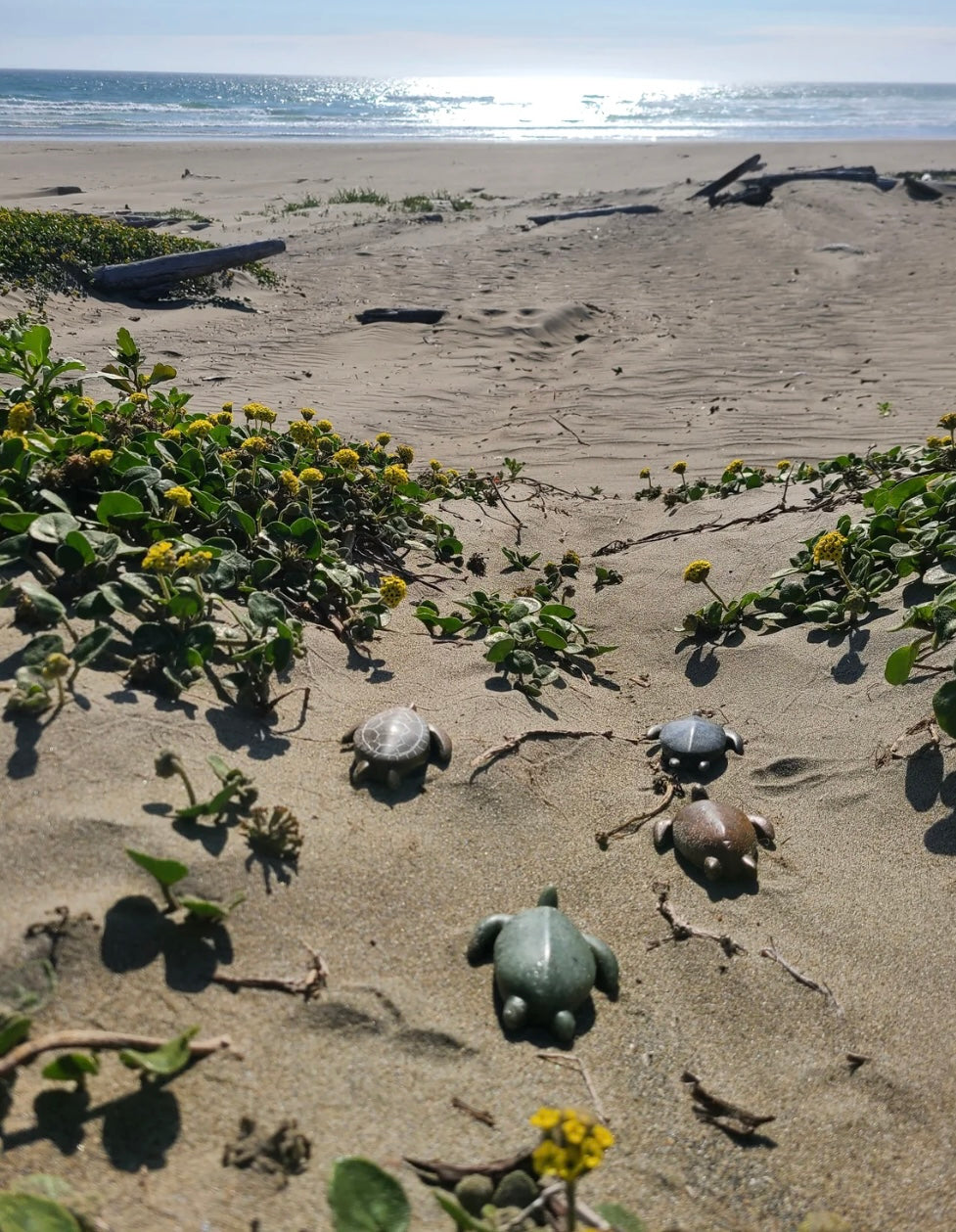 Sea Turtle - Soapstone Carving Kit