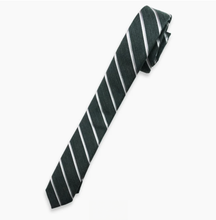 Load image into Gallery viewer, Appaman Tie - Sage Stripe