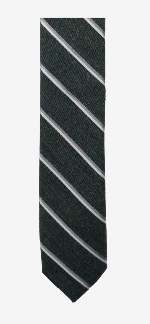 Appaman Tie - Sage Stripe