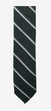 Load image into Gallery viewer, Appaman Tie - Sage Stripe
