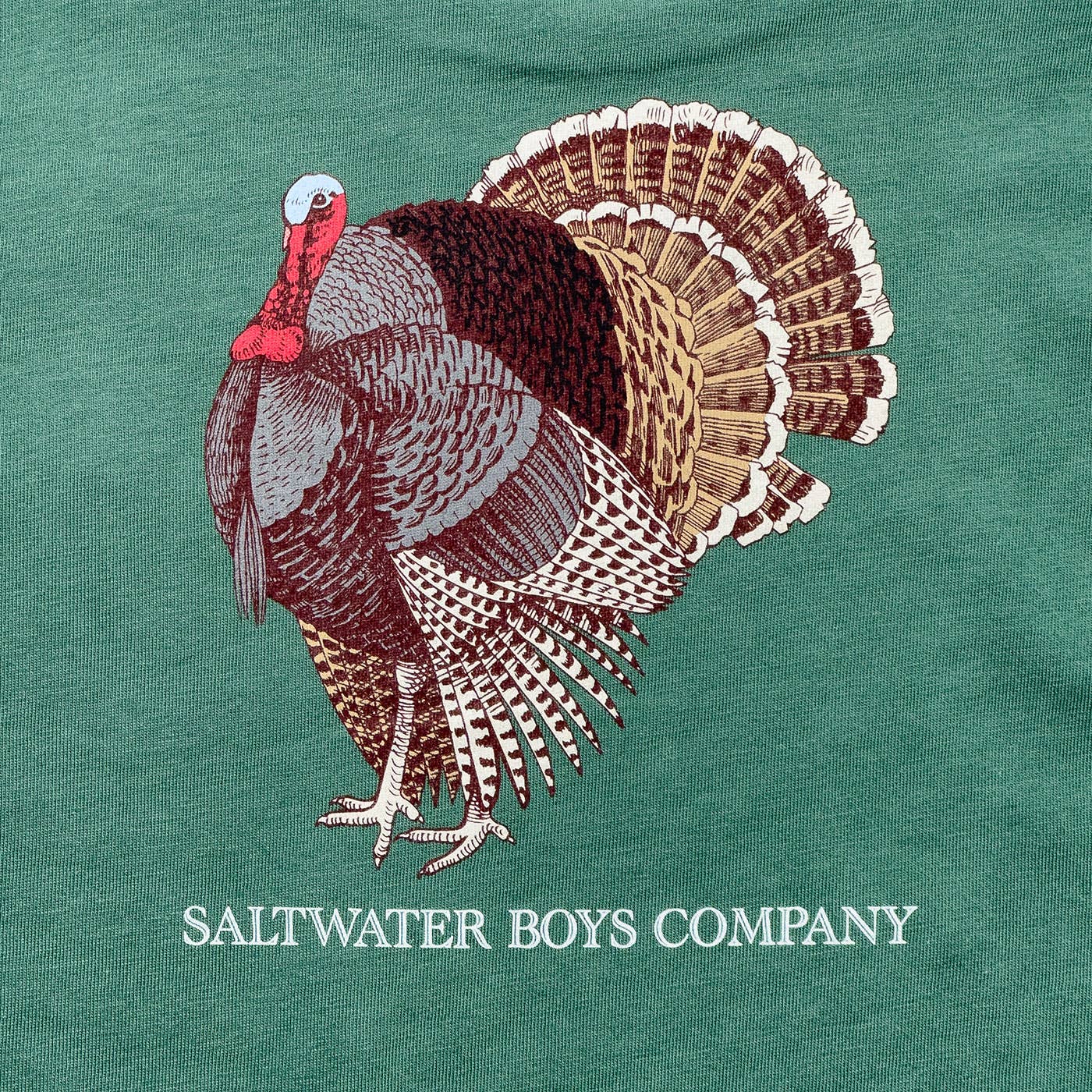 Boys Turkey graphic tee LS- Green