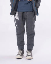 Load image into Gallery viewer, Sidewalk Sweats, Washed Grey-Appaman
