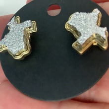 Load image into Gallery viewer, Texas Earrings
