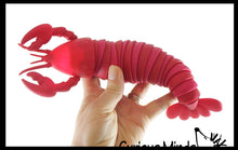 Load image into Gallery viewer, Curious Minds Toys - Lobster Fidget - Large Wiggle Articulated Jointed Toy
