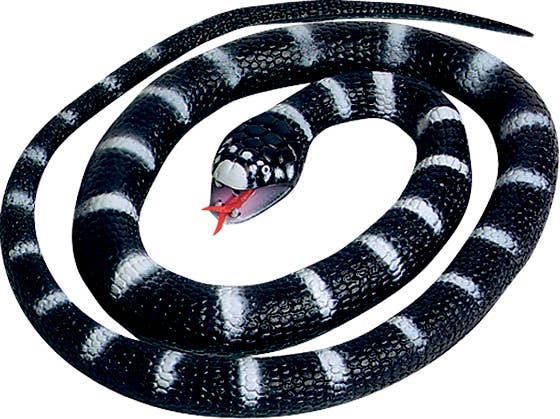 26-inch lifelike rubber California King snake toy by Wild Republic