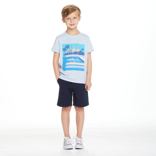 Party Flamingo Graphic Tee & Short Set