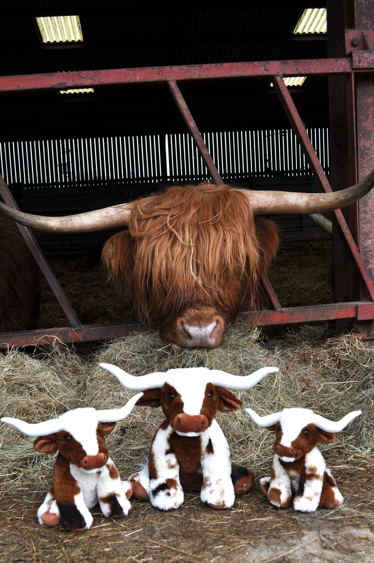 Texas Longhorn Highland Cream Small Brown Cow Plush Toy 18cm