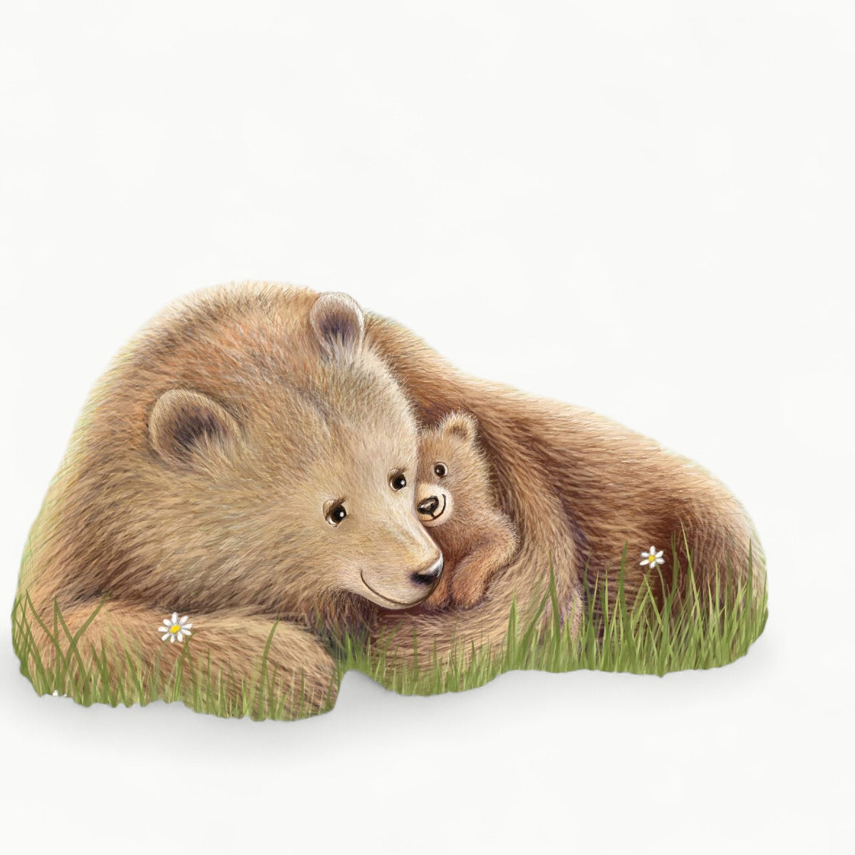 Why A Son Needs A Mom hardcover picture book with animal illustrations