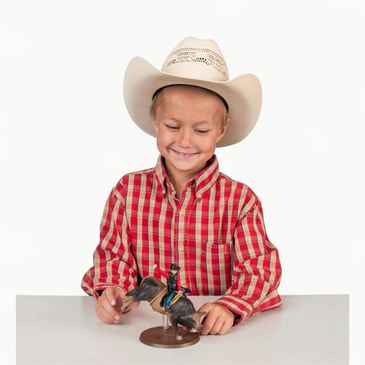 Big Country PBR: Sweet Pro's Bruiser