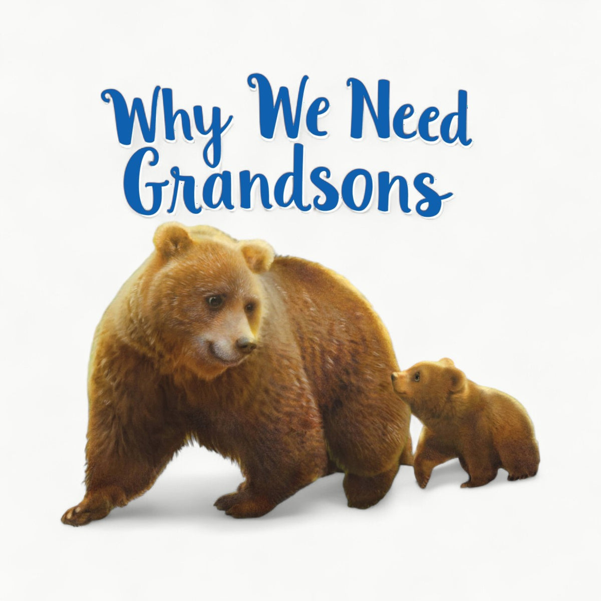Why We Need Grandsons picture book cover by Sourcebooks