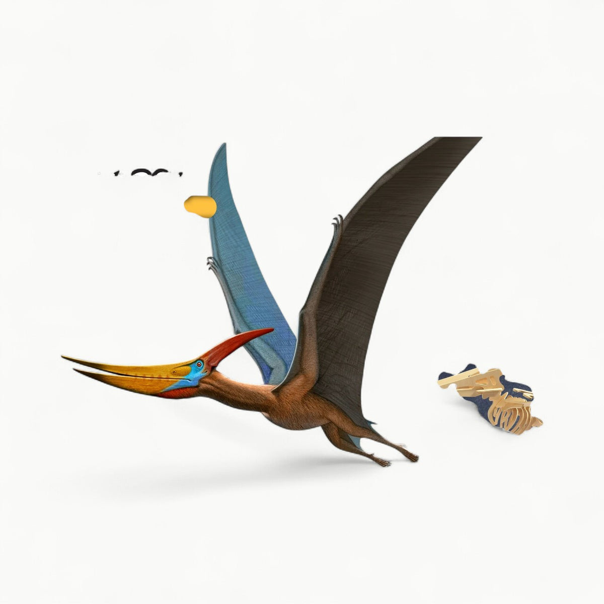 Heebie Jeebies Dino Kit Large Pteranodon wooden skeleton assembly pieces