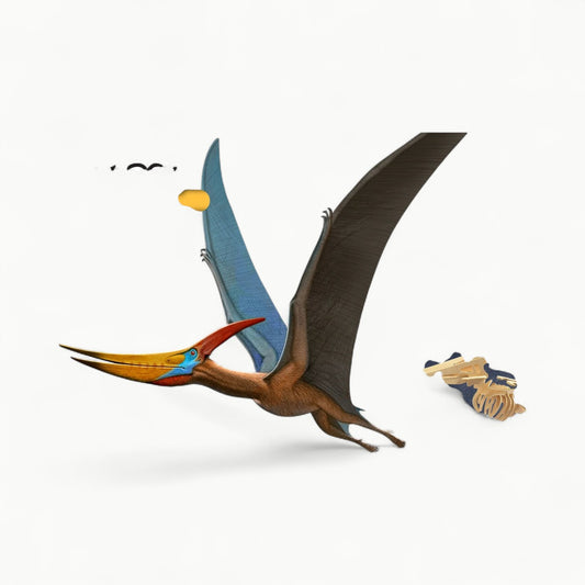 Heebie Jeebies Dino Kit Large Pteranodon wooden skeleton assembly pieces