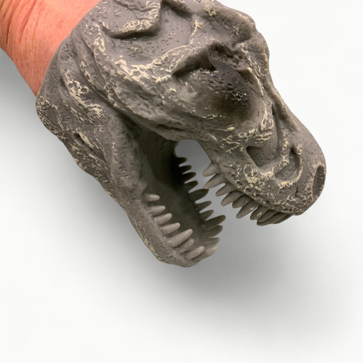Dino Skull Hand Puppet-Schylling