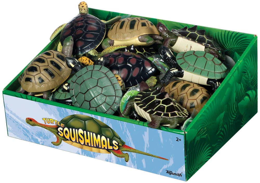 Assorted Toysmith Turtle Squishamals with soft plush bodies and hard shells