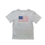 Flag SS Graphic Tee in grey heather by Saltwater Boys