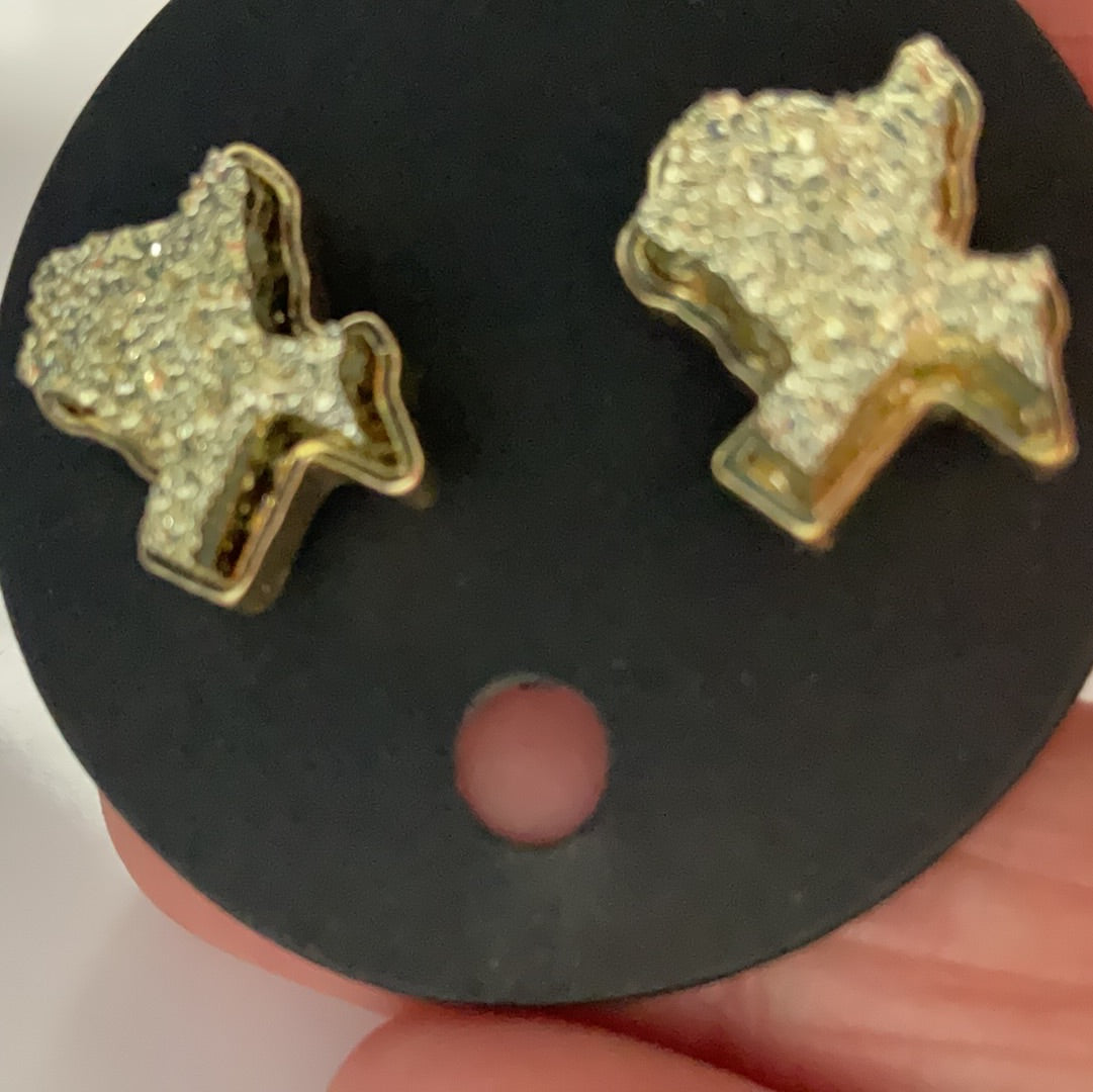 Texas Earrings