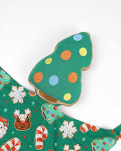 Load image into Gallery viewer, Dash Toy Lovey
