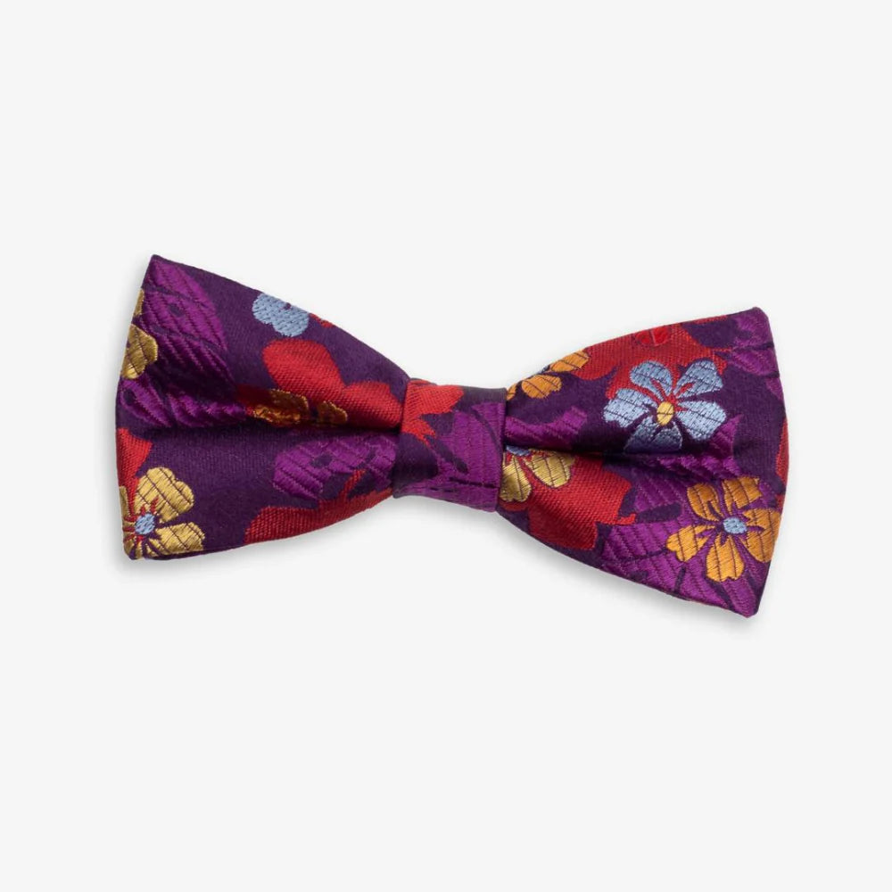 Appaman Silk Bow Tie in Purple Passion, 100% silk with adjustable hook and eye closure