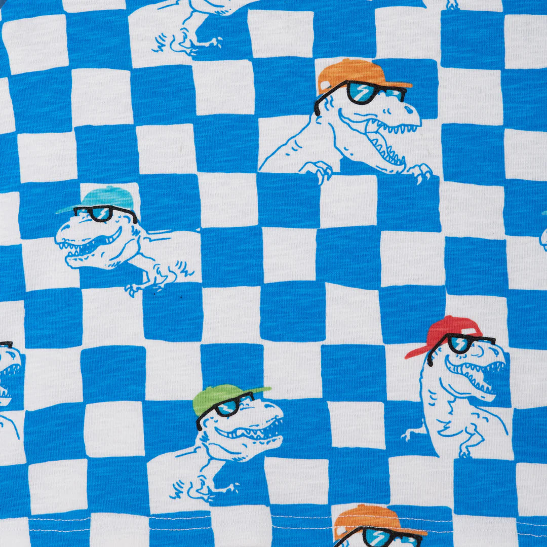 A close up of fabric featuring blue and white checkers, with several t-rex dinosaurs integrated into the design, with the dinosaurs wearing fitted hats and sunglasses.