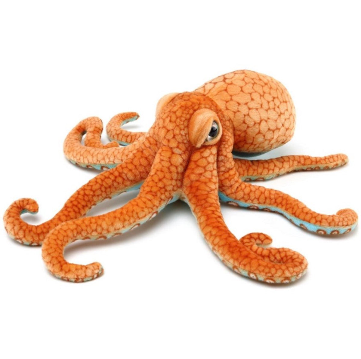 Olympus the Octopus