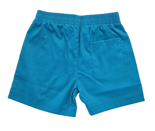 River-Performance Solid Teal Shorts