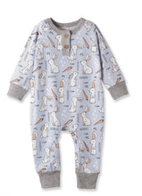 Load image into Gallery viewer, Cottontail Crew Henley Romper

