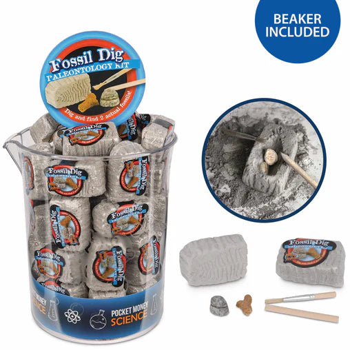 Heebie Jeebies Dino Fossil Dig kit with real fossils, paleontologist brush and pick tools