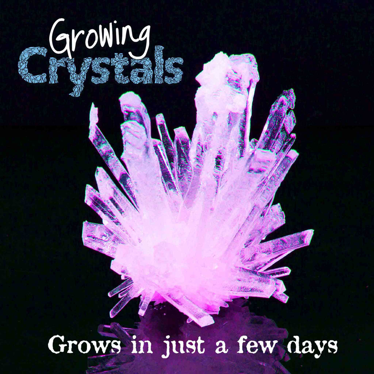 Heebie Jeebies Growing Crystals