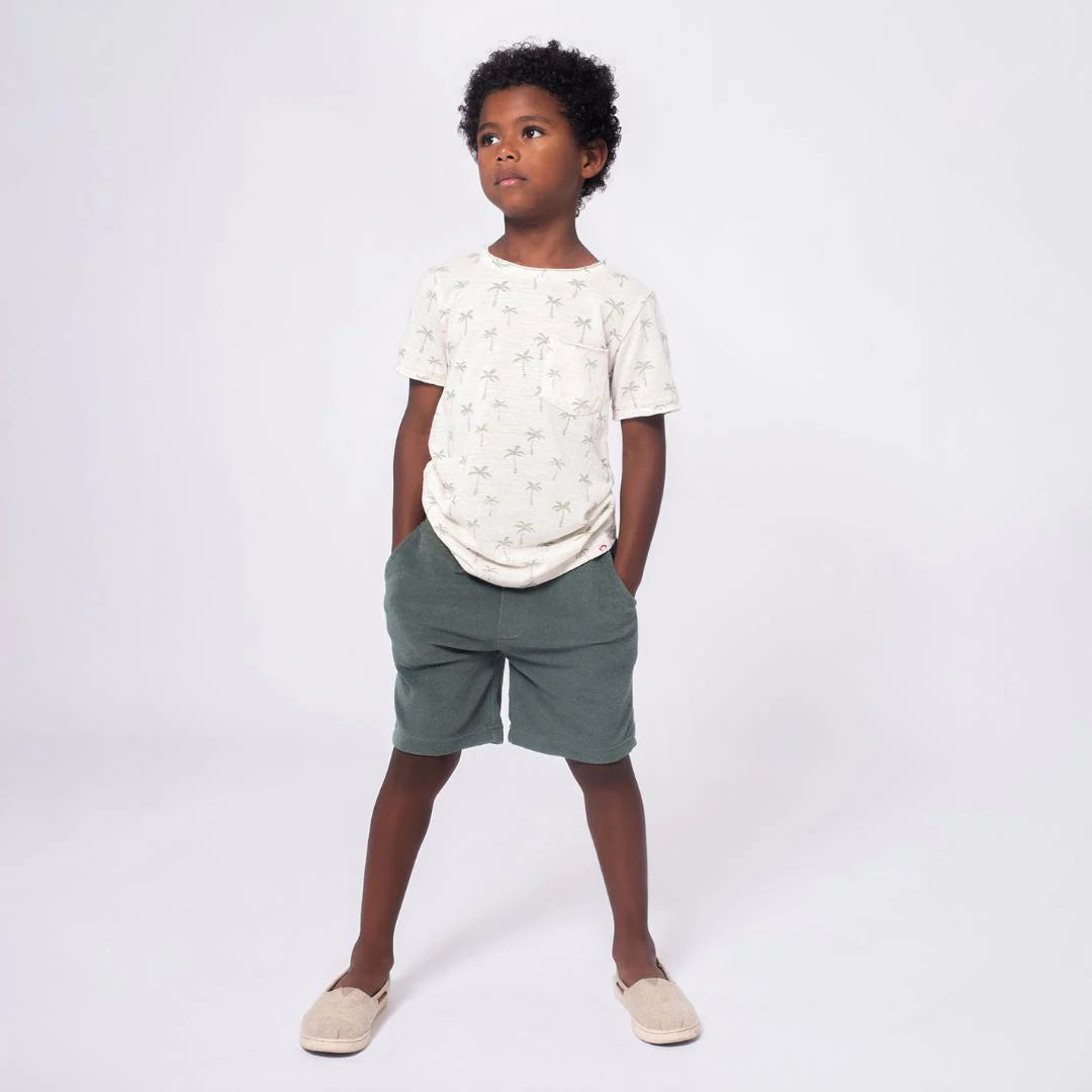 Camp Shorts - Sage