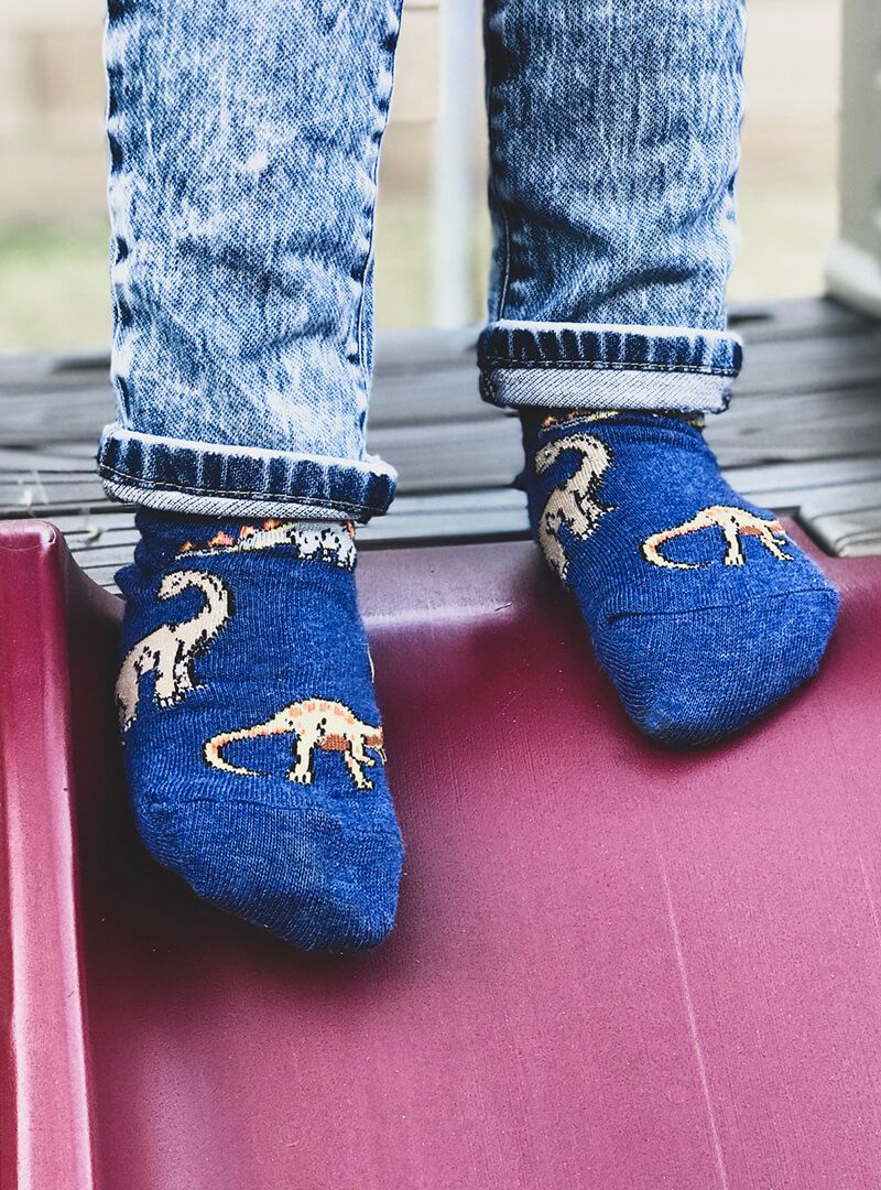 Jefferies Socks Dinosaur Crew Socks-Blue