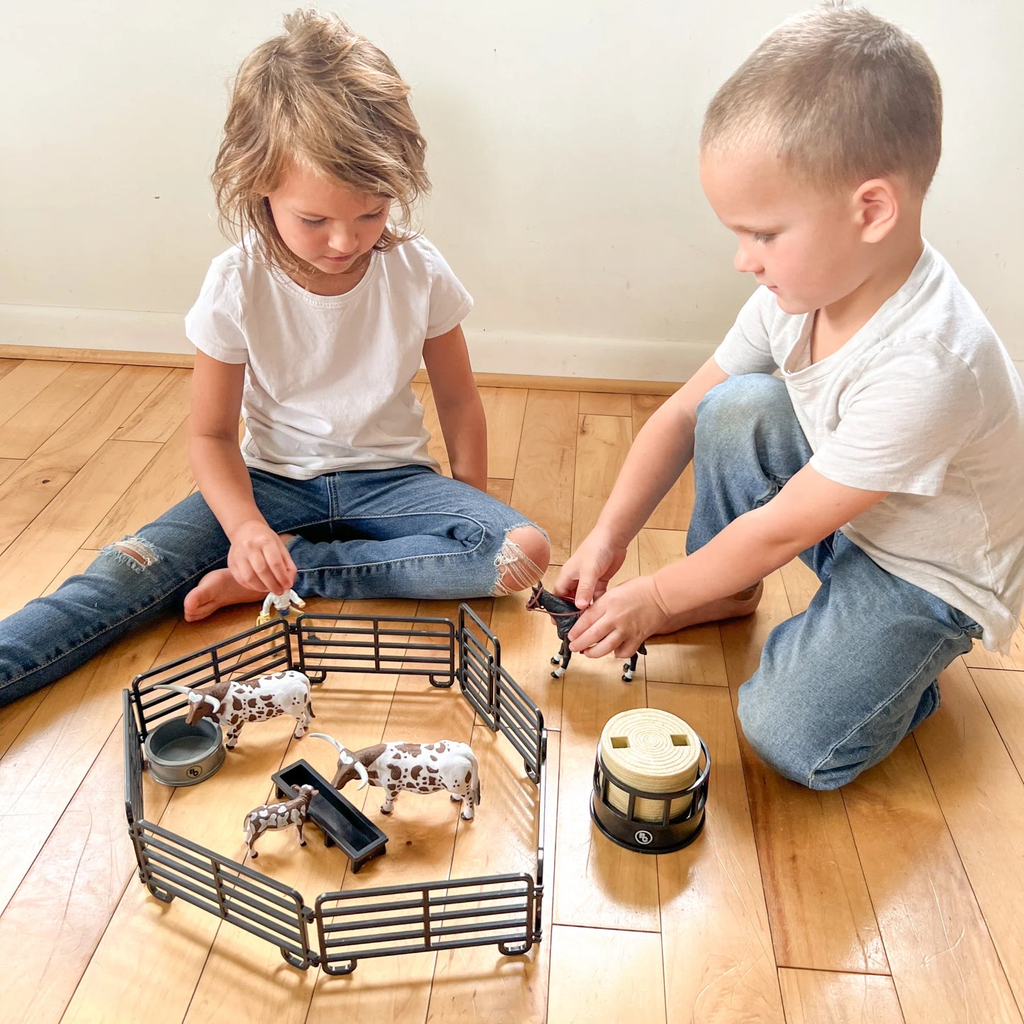 12 Piece Ranch Set