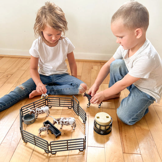 12 Piece Ranch Set