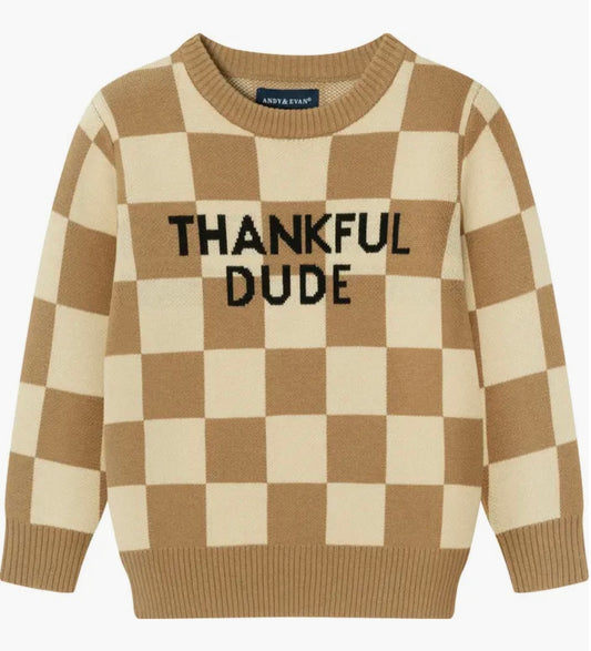 A tan and cream checkered long-sleeved sweater with a crew neck. The sweater has the saying "Thankful Dude" written across the front in black letters. 