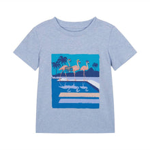 Load image into Gallery viewer, Andy &amp; Evan - Boys Tee Set - Party Flamingo: 3T / Party Flamingo
