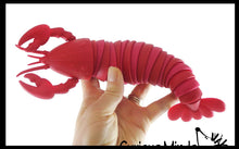 Load image into Gallery viewer, Curious Minds Toys - Lobster Fidget - Large Wiggle Articulated Jointed Toy
