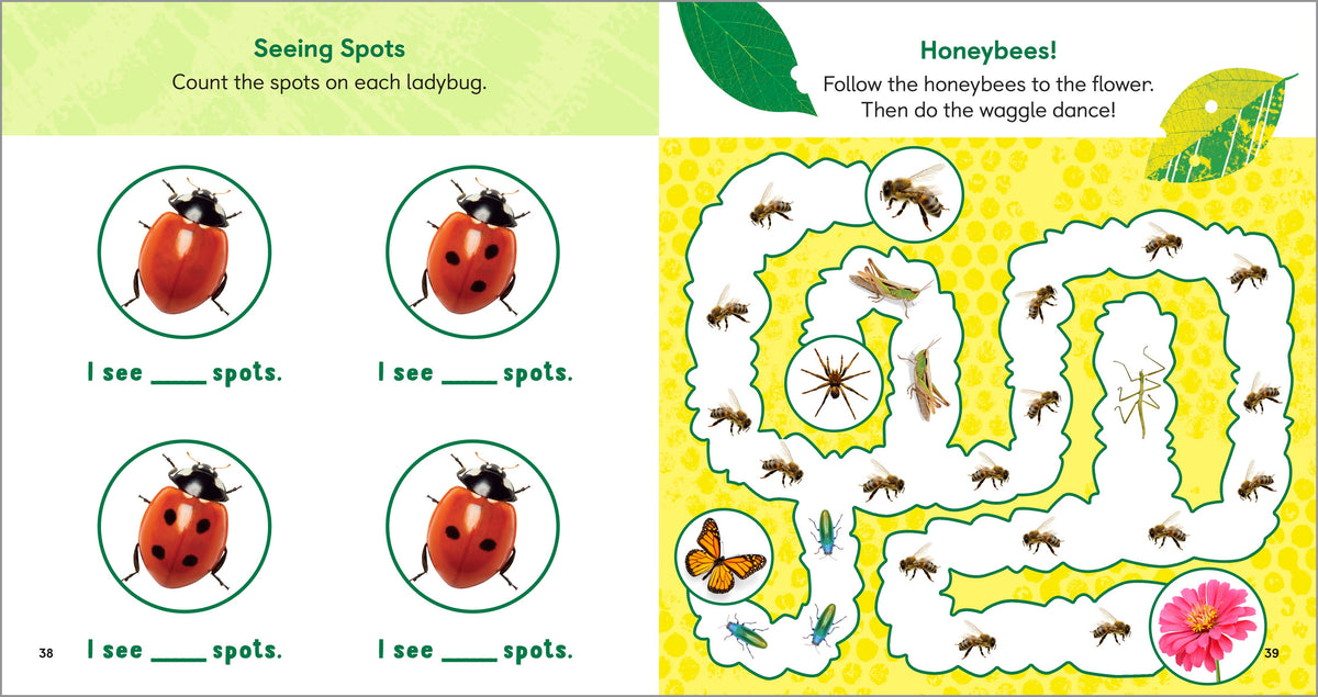 Backyard Bug Book for Kids