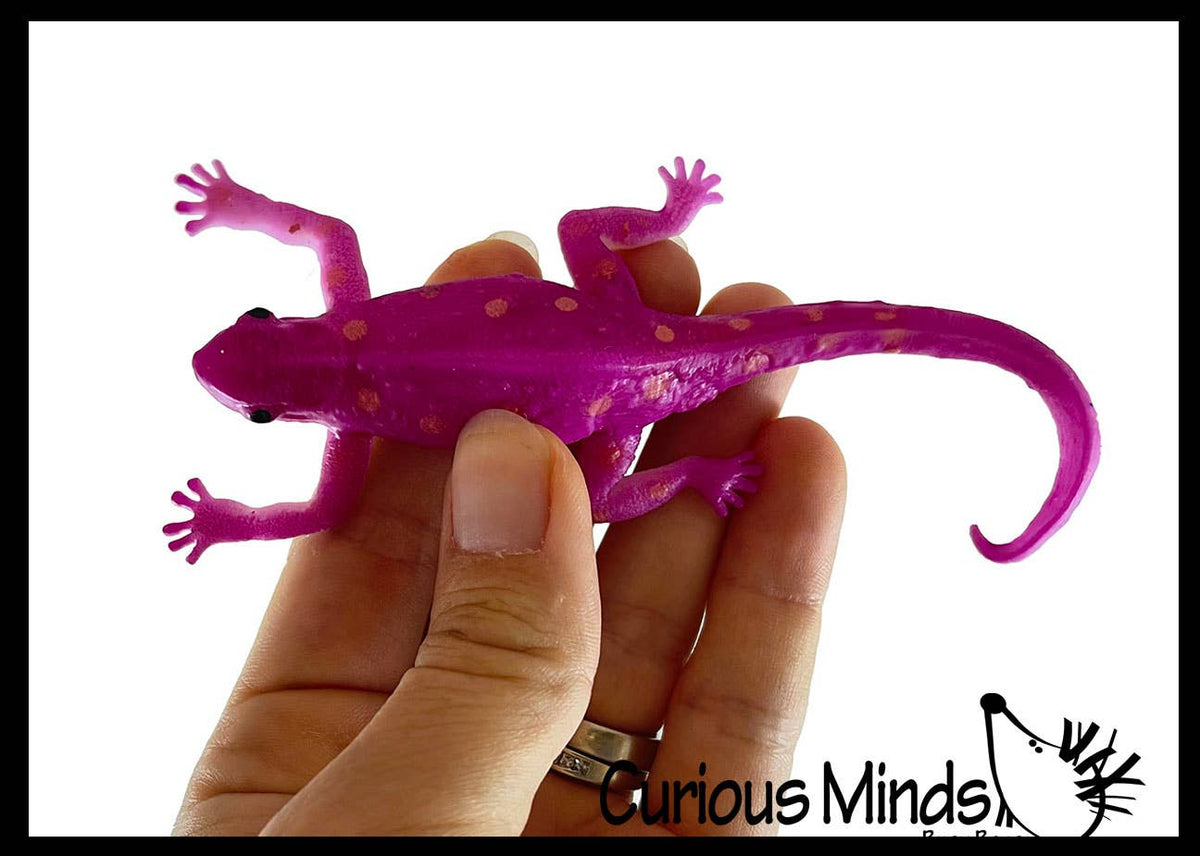 Lizard - Thermal Color Changing Toy