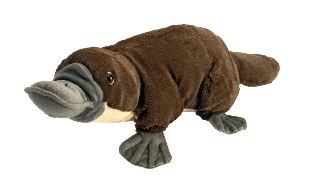 Wild Republic Cuddlekins Platypus 12-inch plush stuffed animal with detailed bill and webbed feet