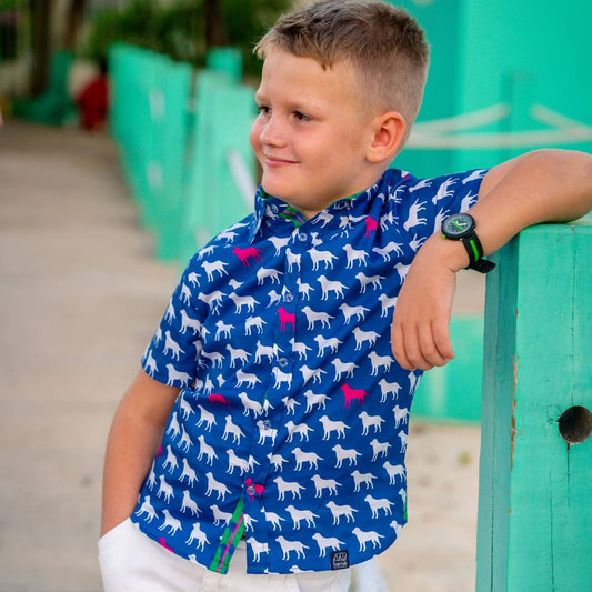 Labs Shirt in Short Sleeves by TukTuk Designs with contrasting collar and placket details