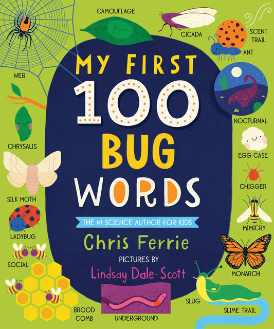 My First 100 Bug Words padded board book by Sourcebooks with colorful bug illustrations