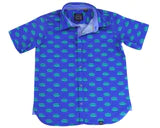 HEDGEHOGS IN BLUE