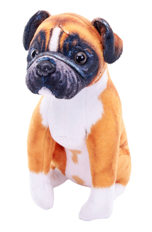 RESCUE BOXER